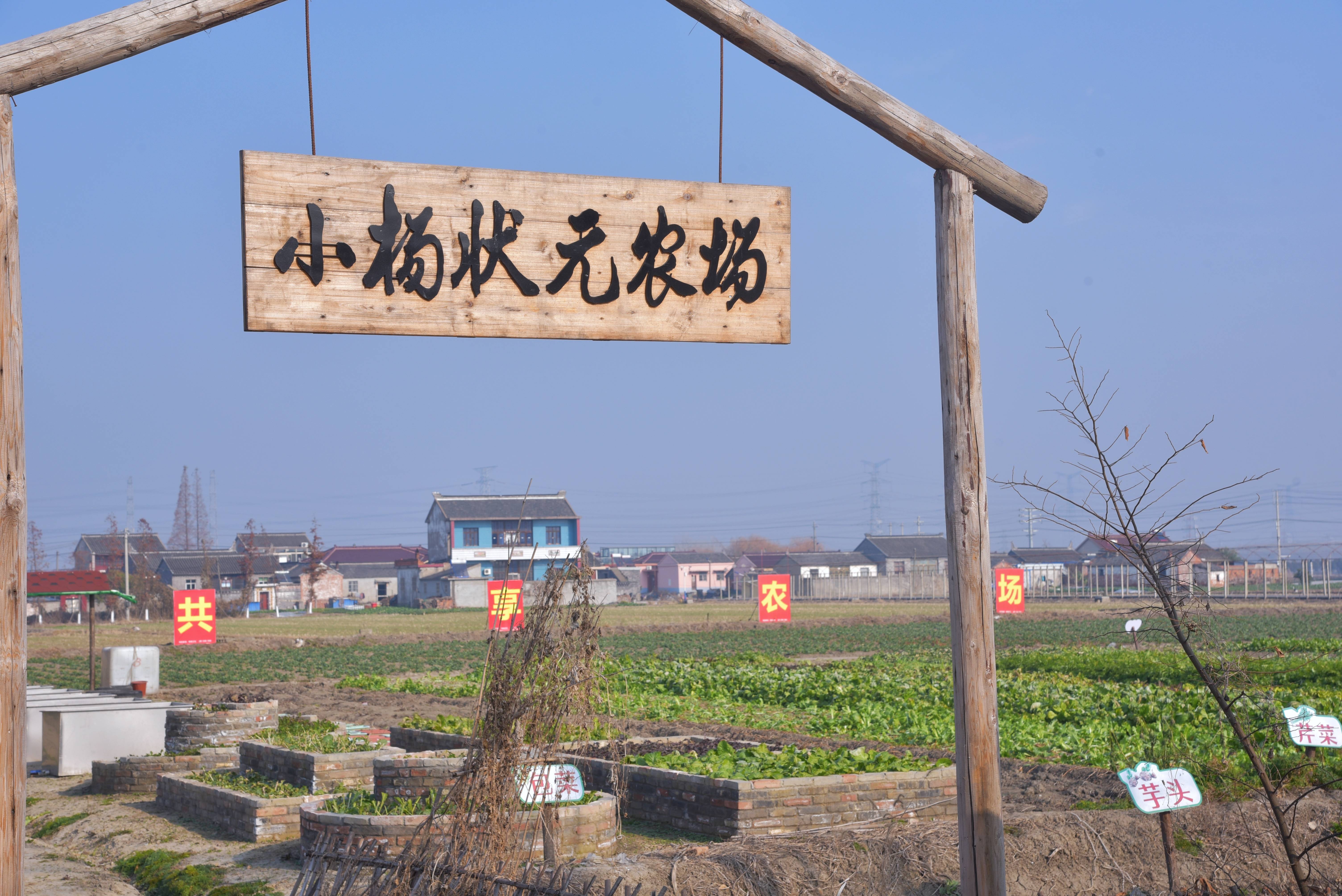 我国乡村消费潜力进一步释放,从不敢花到舍得花,老乡们的钱包怎么鼓起来的? 我国乡村消费潜力进一步释放,从不敢花到舍得花,老乡们的钱包怎么鼓起来的?