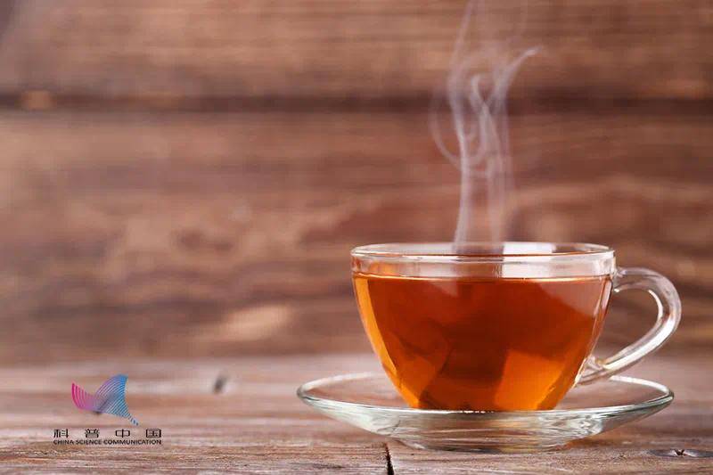 研究称茶能快速灭活新冠病毒,这事儿靠谱吗?喝茶真的管用? 研究称茶能快速灭活新冠病毒,这事儿靠谱吗?喝茶真的管用?